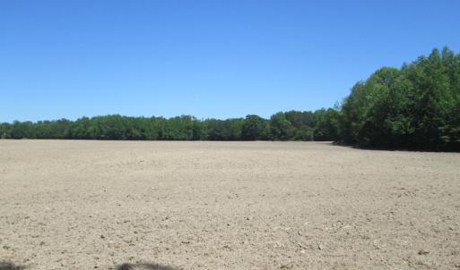 Photo #14 of SOLD property in Off Corinth Chapel Rd, Suffolk, VA 66.0 acres