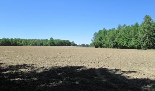 Photo #16 of SOLD property in Off Corinth Chapel Rd, Suffolk, VA 66.0 acres