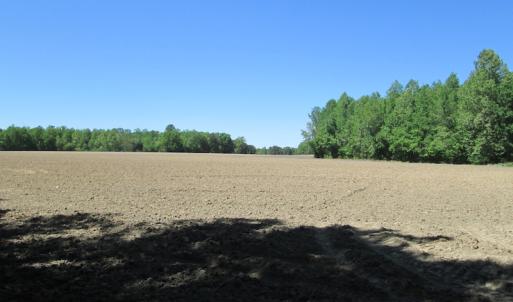 Photo #16 of SOLD property in Off Corinth Chapel Rd, Suffolk, VA 66.0 acres