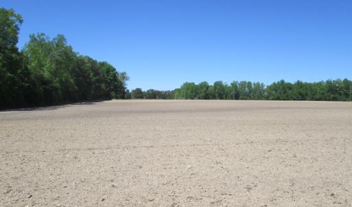 Photo #17 of SOLD property in Off Corinth Chapel Rd, Suffolk, VA 66.0 acres