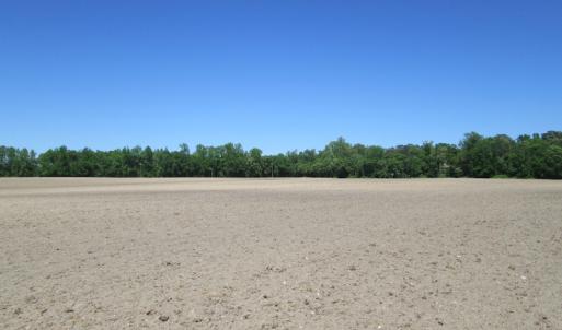 Photo #18 of SOLD property in Off Corinth Chapel Rd, Suffolk, VA 66.0 acres