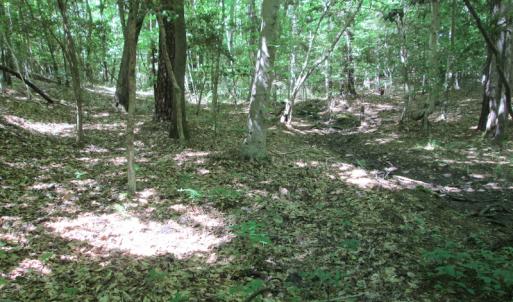 Photo #33 of SOLD property in Off Corinth Chapel Rd, Suffolk, VA 66.0 acres