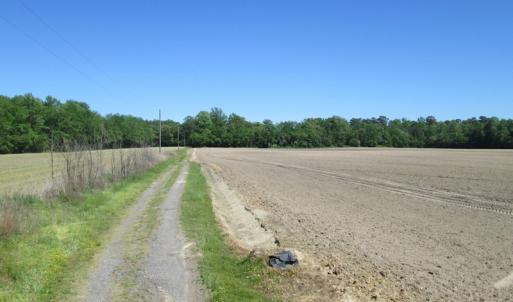 Photo #19 of SOLD property in Off Corinth Chapel Rd, Suffolk, VA 66.0 acres