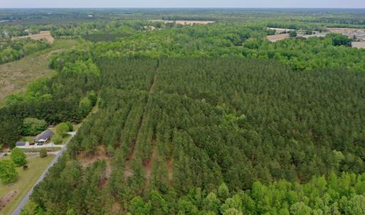 Photo #3 of SOLD property in off Windley Rd, Washington, NC 102.0 acres