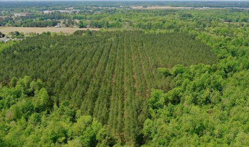 Photo #6 of SOLD property in off Windley Rd, Washington, NC 102.0 acres