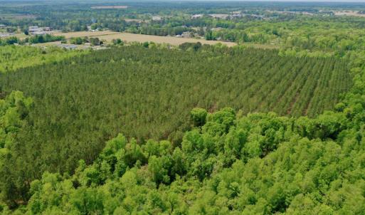 Photo #7 of SOLD property in off Windley Rd, Washington, NC 102.0 acres
