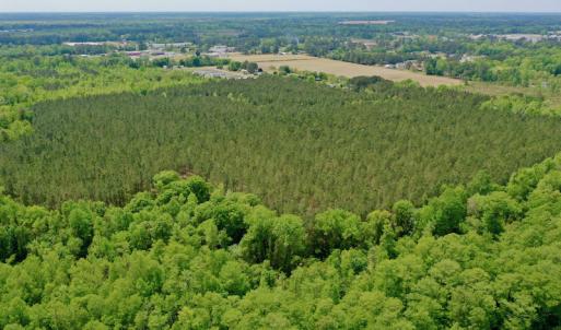 Photo #8 of SOLD property in off Windley Rd, Washington, NC 102.0 acres