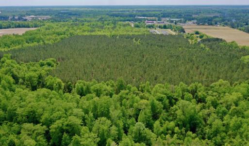 Photo #9 of SOLD property in off Windley Rd, Washington, NC 102.0 acres