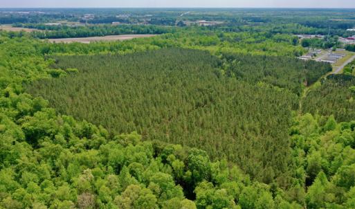 Photo #11 of SOLD property in off Windley Rd, Washington, NC 102.0 acres