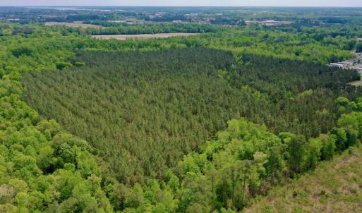 Photo #12 of SOLD property in off Windley Rd, Washington, NC 102.0 acres