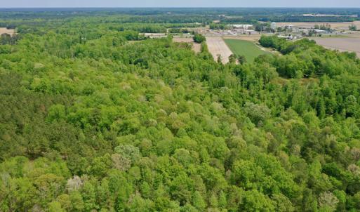 Photo #13 of SOLD property in off Windley Rd, Washington, NC 102.0 acres
