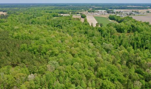 Photo #13 of SOLD property in off Windley Rd, Washington, NC 102.0 acres