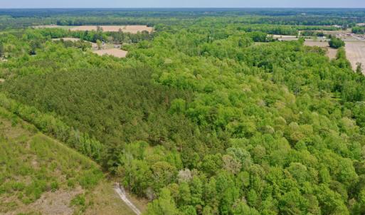Photo #14 of SOLD property in off Windley Rd, Washington, NC 102.0 acres