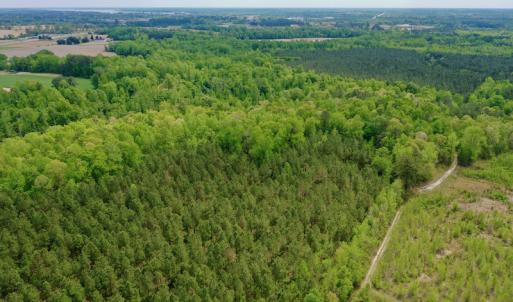 Photo #15 of SOLD property in off Windley Rd, Washington, NC 102.0 acres