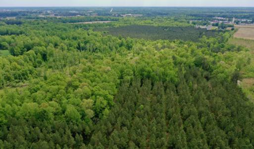 Photo #16 of SOLD property in off Windley Rd, Washington, NC 102.0 acres