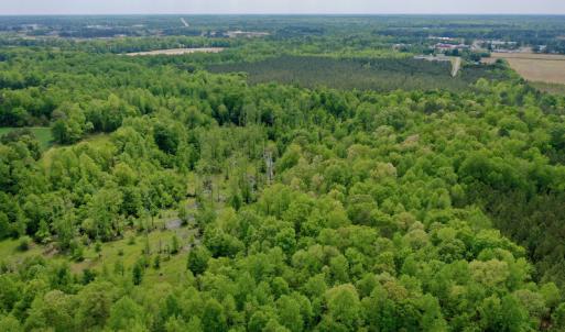 Photo #17 of SOLD property in off Windley Rd, Washington, NC 102.0 acres