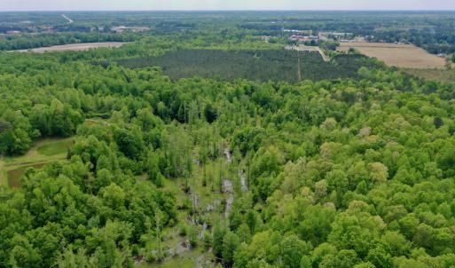 Photo #18 of SOLD property in off Windley Rd, Washington, NC 102.0 acres