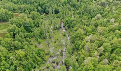 Photo #19 of SOLD property in off Windley Rd, Washington, NC 102.0 acres