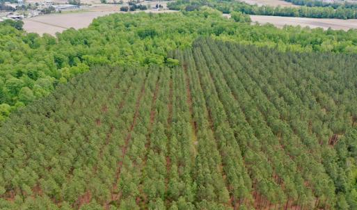 Photo #22 of SOLD property in off Windley Rd, Washington, NC 102.0 acres