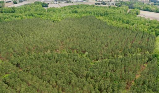 Photo #24 of SOLD property in off Windley Rd, Washington, NC 102.0 acres