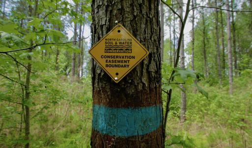 Photo #25 of SOLD property in off Windley Rd, Washington, NC 102.0 acres