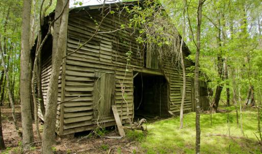 Photo #26 of SOLD property in off Windley Rd, Washington, NC 102.0 acres