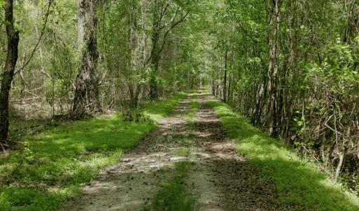 Photo #29 of SOLD property in off Windley Rd, Washington, NC 102.0 acres