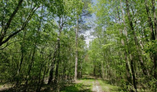 Photo #30 of SOLD property in off Windley Rd, Washington, NC 102.0 acres