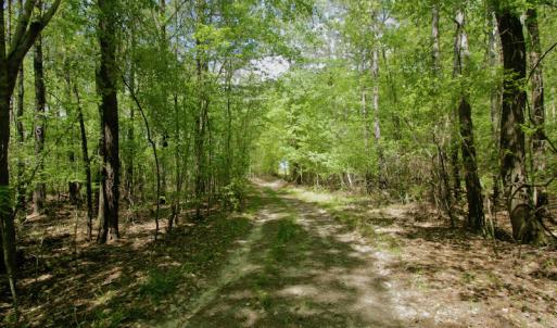 Photo #31 of SOLD property in off Windley Rd, Washington, NC 102.0 acres