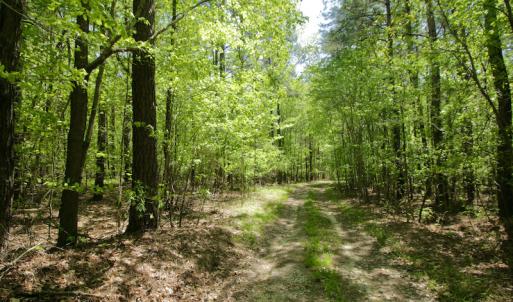 Photo #32 of SOLD property in off Windley Rd, Washington, NC 102.0 acres