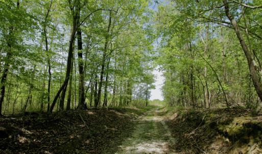 Photo #33 of SOLD property in off Windley Rd, Washington, NC 102.0 acres