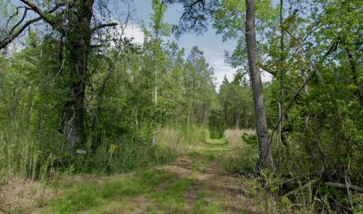 Photo #34 of SOLD property in off Windley Rd, Washington, NC 102.0 acres