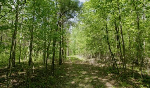 Photo #38 of SOLD property in off Windley Rd, Washington, NC 102.0 acres