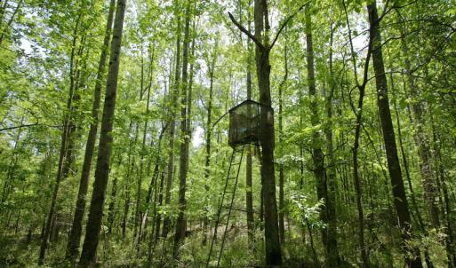 Photo #39 of SOLD property in off Windley Rd, Washington, NC 102.0 acres