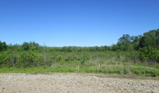 Photo #7 of SOLD property in Off Gates Road, Suffolk, VA 13.0 acres