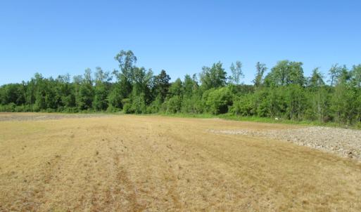 Photo #8 of SOLD property in Off Gates Road, Suffolk, VA 13.0 acres