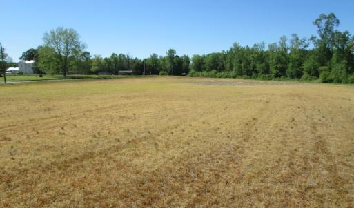 Photo #9 of SOLD property in Off Gates Road, Suffolk, VA 13.0 acres