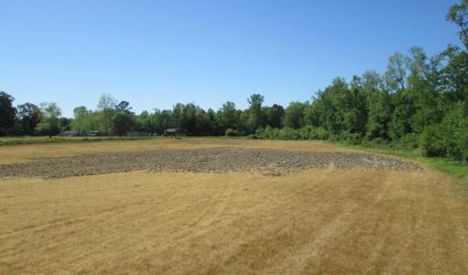 Photo #10 of SOLD property in Off Gates Road, Suffolk, VA 13.0 acres