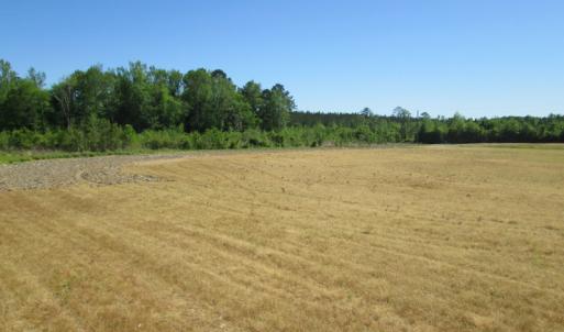 Photo #11 of SOLD property in Off Gates Road, Suffolk, VA 13.0 acres