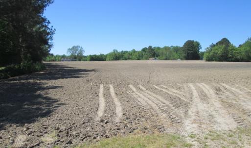 Photo #6 of SOLD property in Off Corinth Chapel Road, Suffolk, VA 7.7 acres