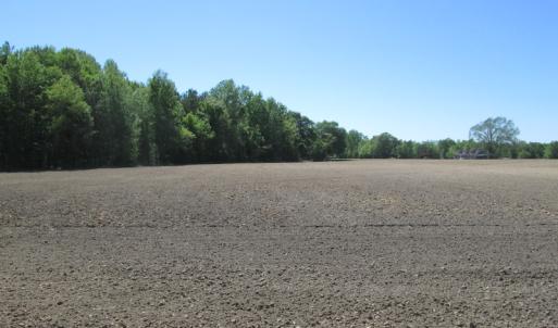 Photo #7 of SOLD property in Off Corinth Chapel Road, Suffolk, VA 7.7 acres
