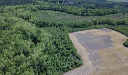 Photo #5 of SOLD property in Off Corinth Chapel Road , Suffolk , VA 47.0 acres