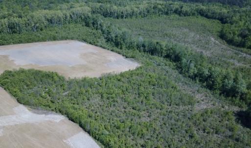 Photo #12 of SOLD property in Off Corinth Chapel Road , Suffolk , VA 47.0 acres