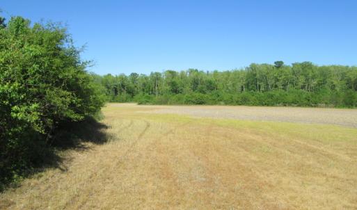Photo #18 of SOLD property in Off Corinth Chapel Road , Suffolk , VA 47.0 acres