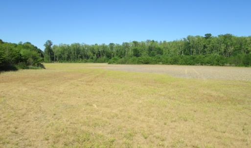 Photo #19 of SOLD property in Off Corinth Chapel Road , Suffolk , VA 47.0 acres