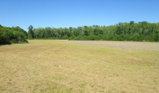 Photo #19 of SOLD property in Off Corinth Chapel Road , Suffolk , VA 47.0 acres