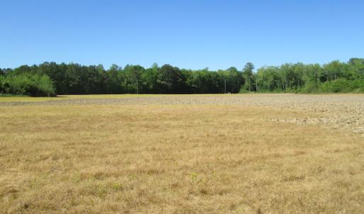 Photo #20 of SOLD property in Off Corinth Chapel Road , Suffolk , VA 47.0 acres