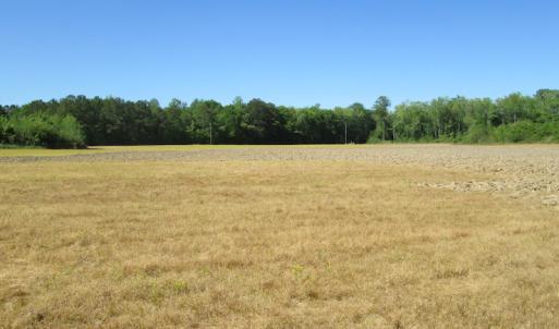 Photo #20 of SOLD property in Off Corinth Chapel Road , Suffolk , VA 47.0 acres
