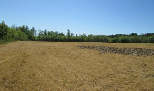 Photo #21 of SOLD property in Off Corinth Chapel Road , Suffolk , VA 47.0 acres