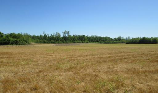 Photo #22 of SOLD property in Off Corinth Chapel Road , Suffolk , VA 47.0 acres